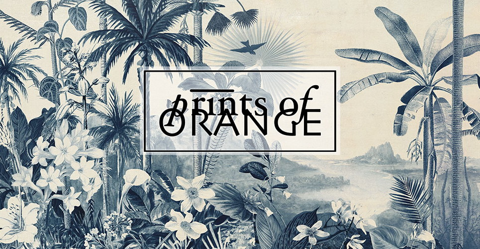Prints of Orange